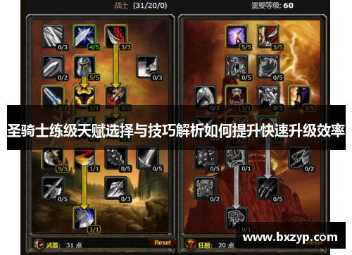 圣骑士练级天赋选择与技巧解析如何提升快速升级效率