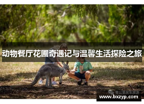 动物餐厅花圃奇遇记与温馨生活探险之旅 动物餐厅花圃奇遇记与温馨生活探险之旅